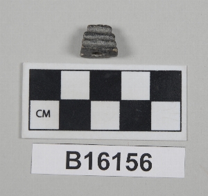 B16156