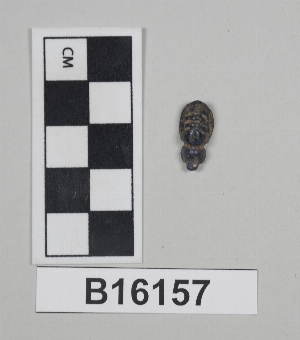 B16157