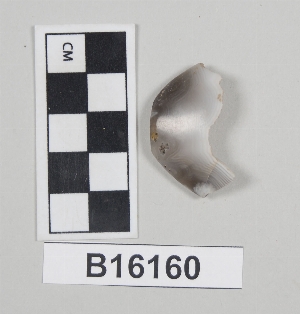 B16160