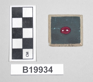B19934