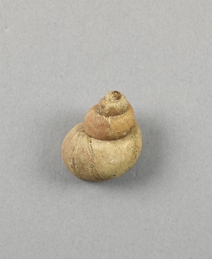 97-563-4560D