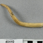 927453