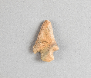 97-563-3006