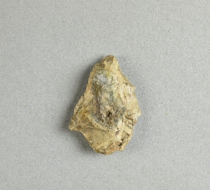 97-563-3061
