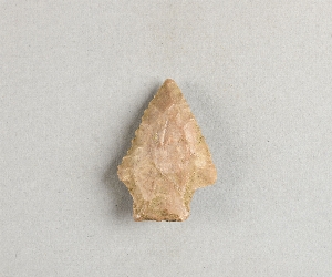 97-563-2650