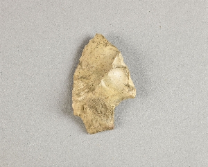 97-563-2769