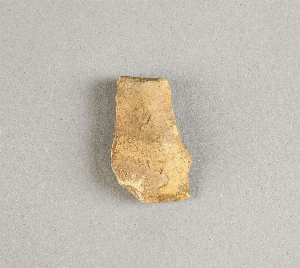 97-563-8279