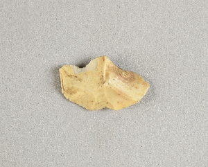 97-563-8287