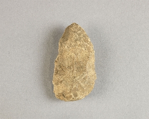97-563-8254