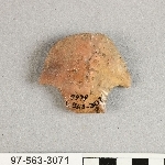 929954