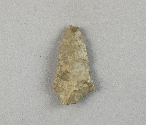 97-563-8019