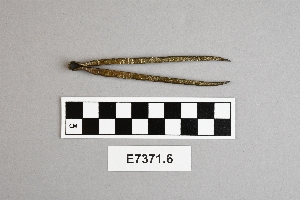 E7371.6