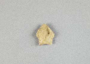 97-563-8202