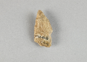 97-563-8233