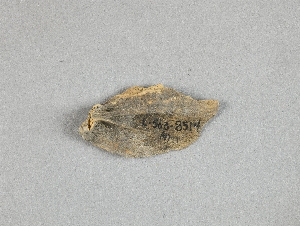 97-563-8514D