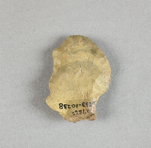 97-563-10238