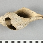 932811