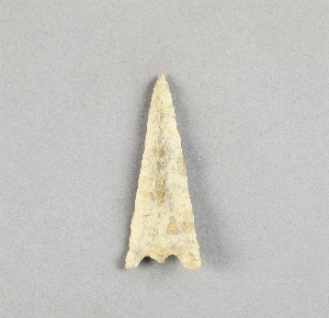 29-124-31