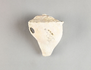 70-19-261