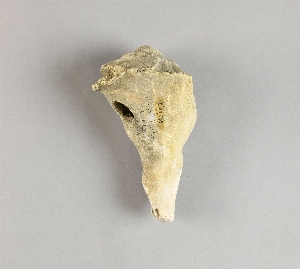 70-19-264