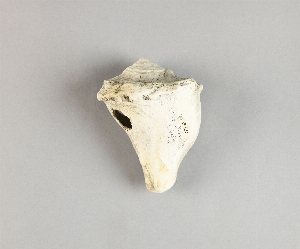 70-19-266
