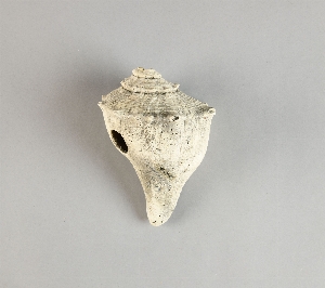 70-19-302