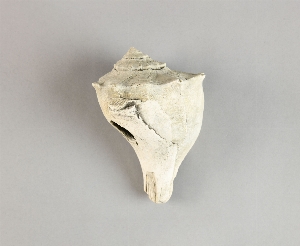 70-19-310