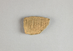 97-563-7789