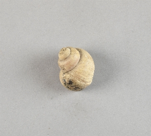 97-563-4559C