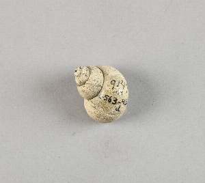 97-563-4559D
