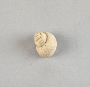 97-563-4561C