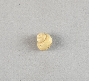 97-563-4561E