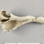 934772