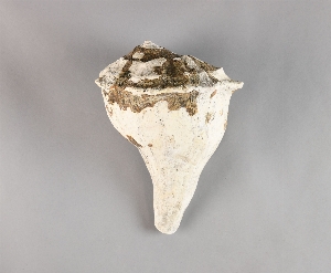 70-19-226