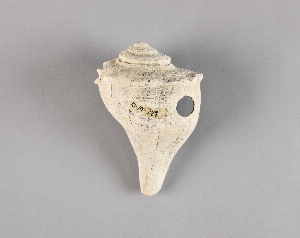 70-19-229