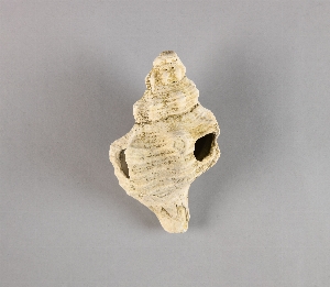 70-19-231