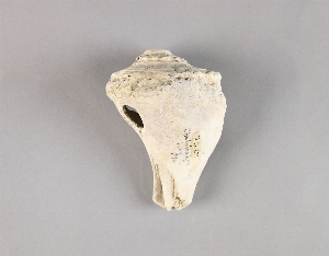 70-19-239