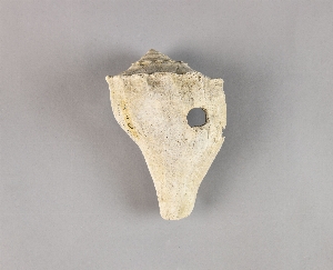 70-19-250