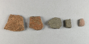 41176