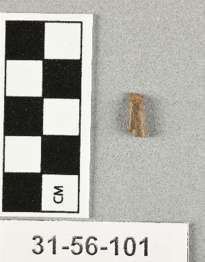 31-56-101