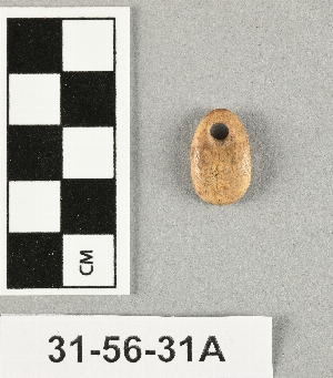 31-56-31A