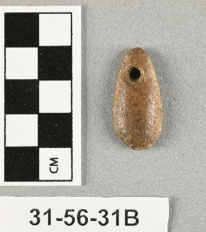 31-56-31B