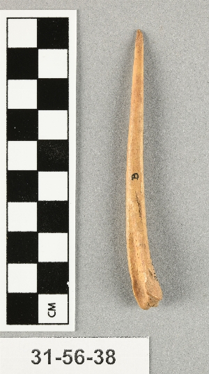 31-56-38