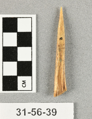 31-56-39