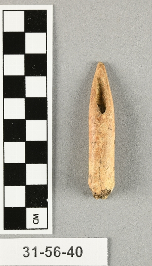 31-56-40