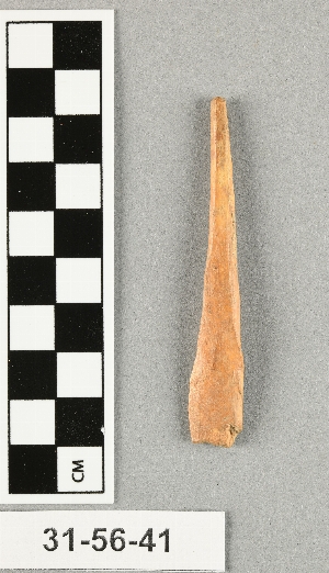 31-56-41