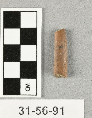 31-56-91