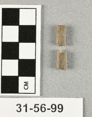 31-56-99