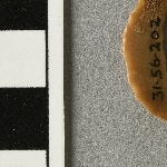 937033