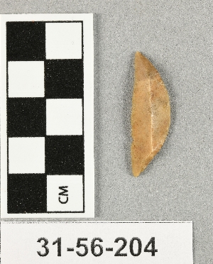 31-56-204